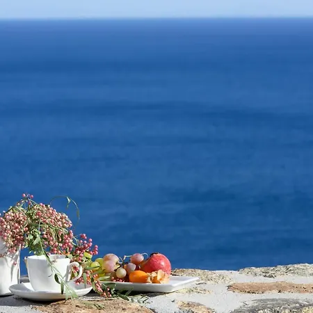 Serenity Villa